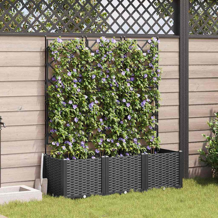 Ghiveci de grădină cu trellis 3 pcs Negru 120 x 40 x 143 cm PP - WALTI WALTI