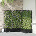 Vază pentru Grădină 5 pcs Negru 120 x 120 x 125,5 cm Plastic - WALTI WALTI
