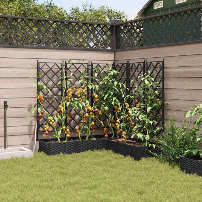 Vază pentru Grădină 5 pcs Negru 120 x 120 x 125,5 cm Plastic - WALTI WALTI