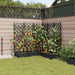 Vază pentru Grădină 5 pcs Negru 120 x 120 x 125,5 cm Plastic - WALTI WALTI