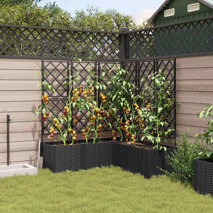 Vază pentru Grădină 5 pcs Negru 120 x 120 x 143 cm Plastic - WALTI WALTI