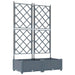 Vază pentru Grădină 2 pcs Gri Deschis 80 x 40 x 125,5 cm - WALTI WALTI