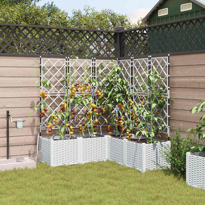 Vază pentru Grădină 5 pcs Alb Plastic - WALTI WALTI