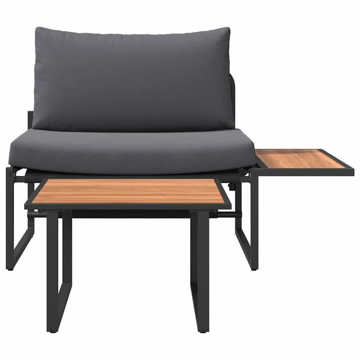 Set de canapele pentru grădină 2 pcs Antracit Oțel - WALTI WALTI