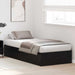 Cadru de pat Stejar negru 200 x 100 x 31.5 cm Lemn compozit - WALTI WALTI