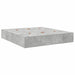 Cadru de pat Gri beton 200 x 200 x 31.5 cm Lemn compozit - WALTI WALTI