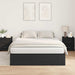 Cadru de pat Stejar negru 200 x 160 x 31.5 cm Lemn compozit - WALTI WALTI