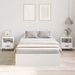 Cadru de pat Alb 190 x 120 x 31.5 cm Lemn compozit - WALTI WALTI
