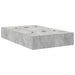 Cadru de pat Gri beton 190 x 120 x 31.5 cm Lemn compozit - WALTI WALTI