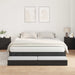 Cadru de pat cu depozitare Stejar negru 236.5 x 200 x 31.5 cm - WALTI WALTI