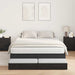 Cadru de pat cu depozitare Stejar negru 236.5 x 150 x 31.5 cm - WALTI WALTI