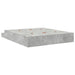 Cadru de pat cu depozitare Gri din beton 236.5 x 180 x 31.5 cm - WALTI WALTI
