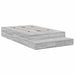 Cadru de pat cu depozitare sonoma gri 226.5 x 120 x 31.5 cm - WALTI WALTI