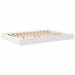 Pat bibliotecă cu headboard Alb 160 x 200 cm Lemn compozit - WALTI WALTI