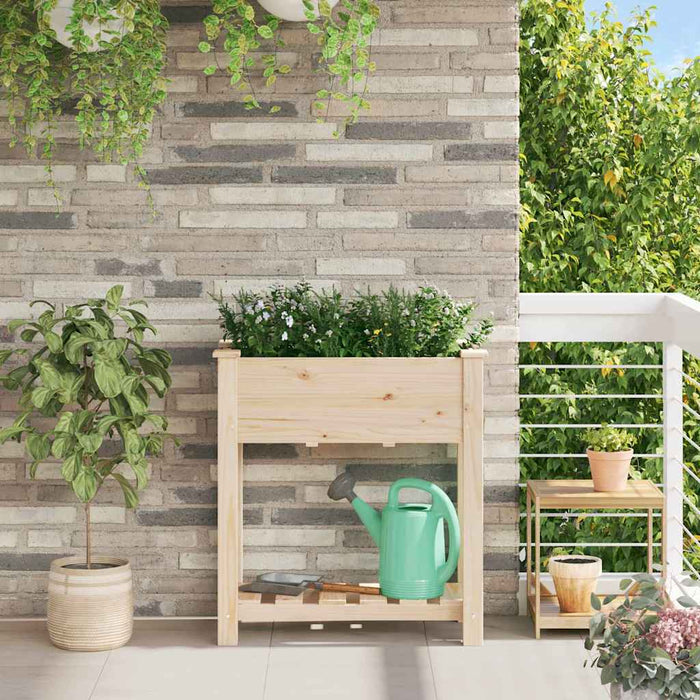 Vază pentru Grădină Bej 71 x 37 x 76,5 cm Lemn de Brad Solid - WALTI WALTI