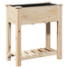 Vază pentru Grădină Bej 71 x 37 x 76,5 cm Lemn de Brad Solid - WALTI WALTI