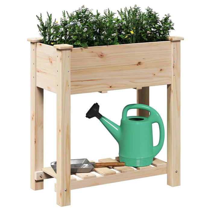 Vază pentru Grădină Bej 71 x 37 x 76,5 cm Lemn de Brad Solid - WALTI WALTI