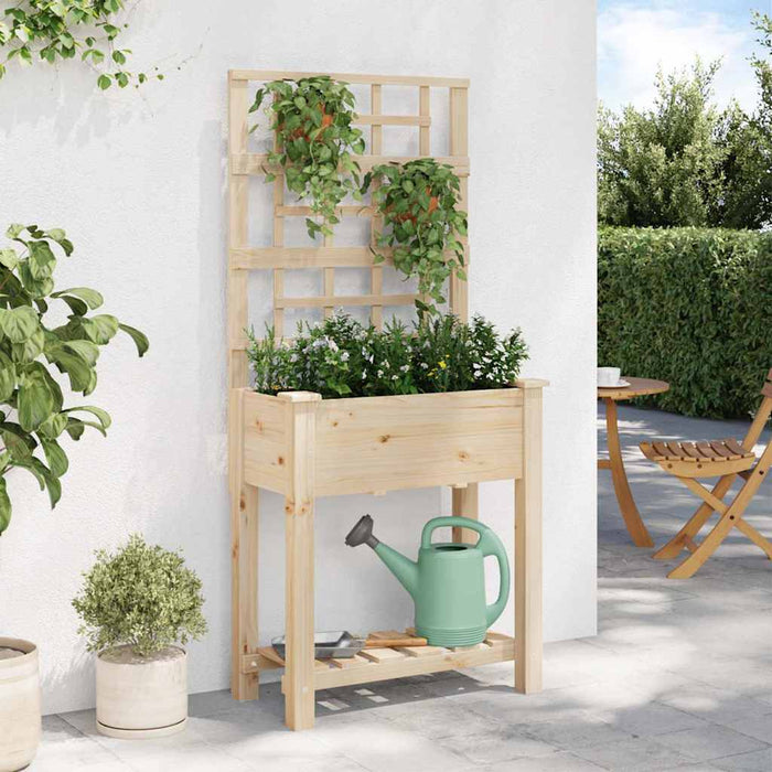 Vază pentru Grădină Bej 71 x 38 x 152 cm Lemn de Brad Solid - WALTI WALTI
