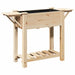Vază pentru Grădină Bej 111 x 37 x 76,5 cm Lemn de Brad Solid - WALTI WALTI