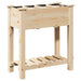 Vază pentru Grădină Bej 71 x 37 x 76,5 cm Lemn de Brad Solid - WALTI WALTI