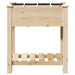 Vază pentru Grădină Bej 71 x 37 x 76,5 cm Lemn de Brad Solid - WALTI WALTI