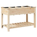Vază pentru Grădină Bej 115 x 59 x 76,5 cm Lemn de Brad Solid - WALTI WALTI