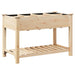Vază pentru Grădină Bej 115 x 59 x 76,5 cm Lemn de Brad Solid - WALTI WALTI