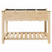 Vază pentru Grădină Bej 115 x 59 x 76,5 cm Lemn de Brad Solid - WALTI WALTI