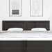 Tăblie cap Pe perete cu headboard Manual Negru 200 cm PVC - WALTI WALTI