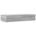 Sertare pentru pat cu sertar Gri Sonoma 100 x 36,5 x 16,5 cm - WALTI WALTI