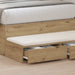 Sertare pentru pat Stejar Artizanal 100 x 36,5 x 16,5 cm - WALTI WALTI