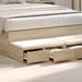 Sertare pentru pat cu sertar Stejar Sonoma 120 x 36,5 x 16,5 cm - WALTI WALTI