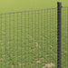 Gard din sârmă sudată Verde 0.8 x 25 m - WALTI WALTI