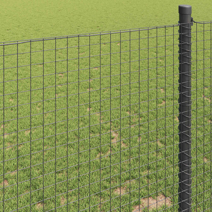 Gard din sârmă sudată Verde 0.6 x 50 m - WALTI WALTI