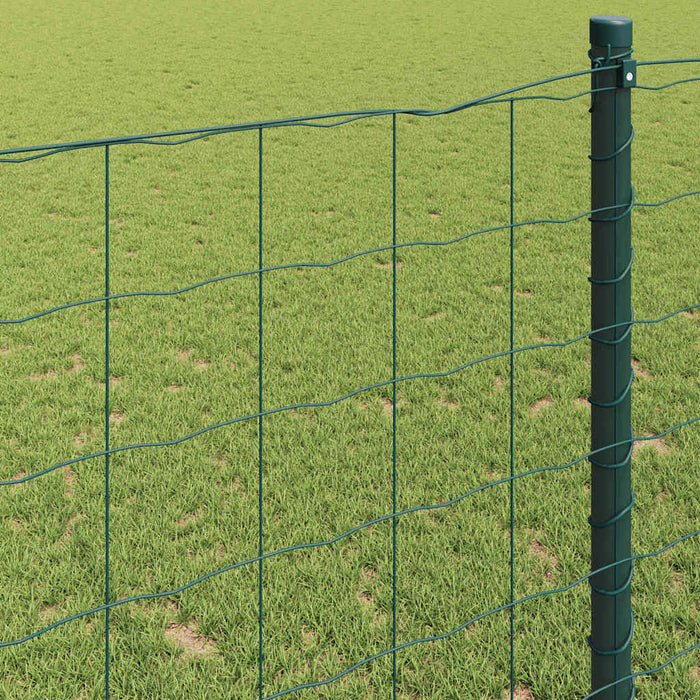 Gard Euro 0,6 x 50 m Fier acoperit cu PVC Verde WALTI