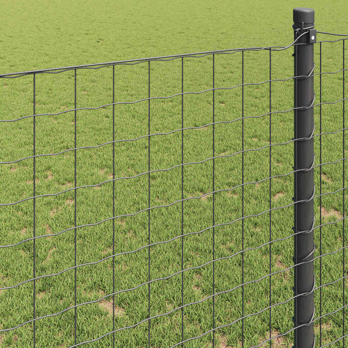 Gard Euro Gri 0,6 x 10 m Fier acoperit cu PVC WALTI
