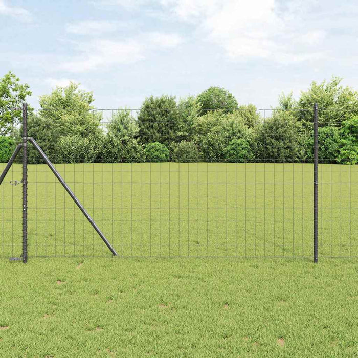 Gard Euro Gri 1.2 x 25 m Fier acoperit cu PVC - WALTI WALTI