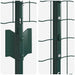 Îngrădire cu stâlpi Verde 1.6 x 10 m Oțel - WALTI WALTI
