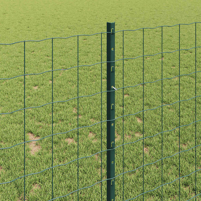 Îngrădire cu stâlpi Verde 1 x 10 m Oțel - WALTI WALTI