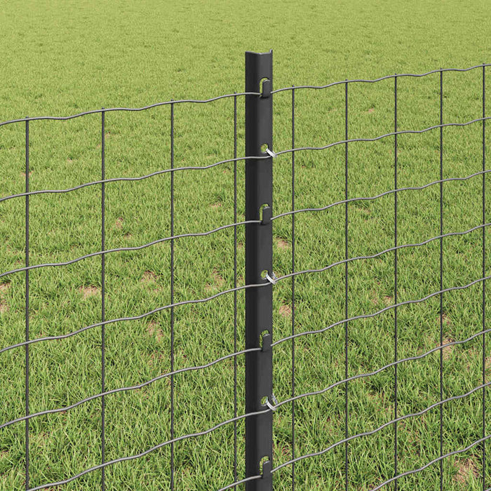 Gard cu Stâlp Gri 0,8 x 25 m Oțel și PVC - WALTI WALTI