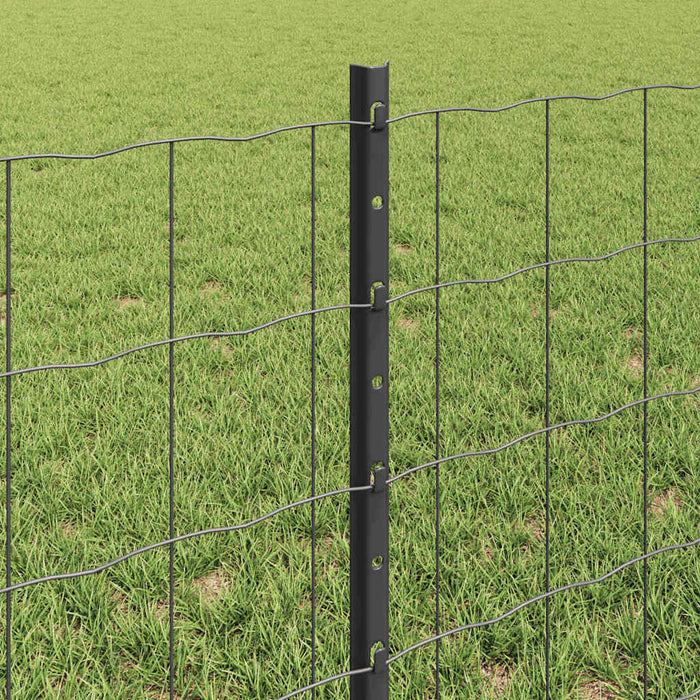 Gard cu Stâlp Gri 0,6 x 50 m Oțel și PVC - WALTI WALTI