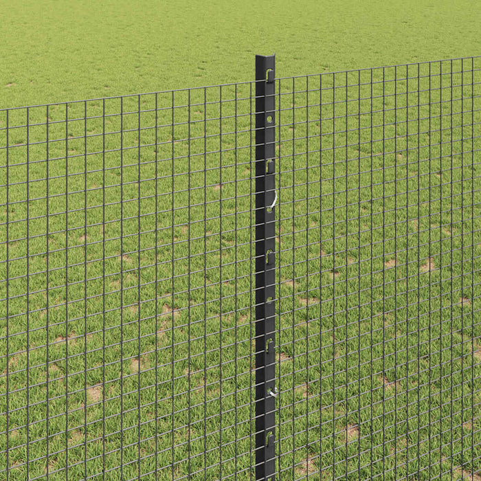 Gard cu Stâlp Gri - WALTI WALTI