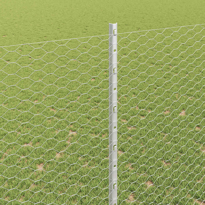 Gard cu Stâlp Argintiu 1,6 x 25 m Oțel - WALTI WALTI