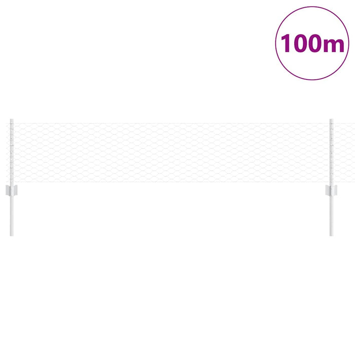 Gard cu Stâlp Argintiu 0,4 x 100 m Oțel - WALTI WALTI