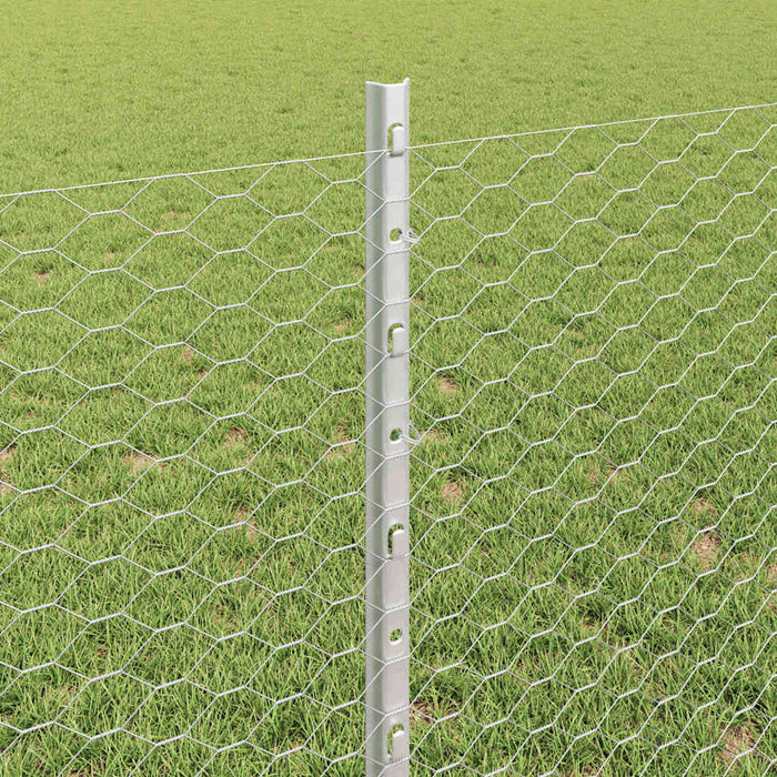 Gard hexagonal cu stâlp 100 x 0,8 m Oțel Galvanizat Argintiu WALTI