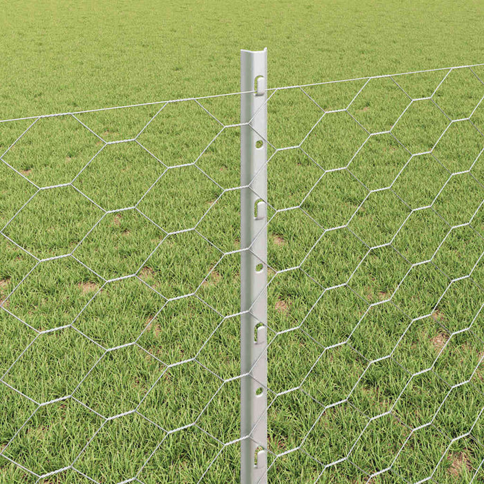Gard hexagonal cu stâlp 100 x 0,8 m Oțel Galvanizat Argintiu WALTI