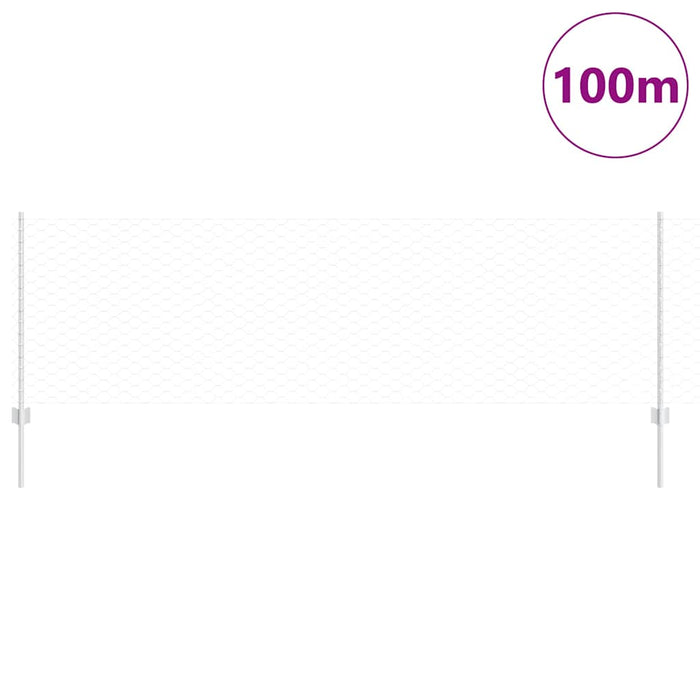 Gard hexagonal cu stâlp 100 x 0,8 m Oțel Galvanizat Argintiu WALTI