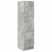 Birou cu spațiu de depozitare cu raft 2 pcs Gri din beton - WALTI WALTI