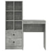 Birou cu sertar cu raft cu depozitare 2 pcs Gri din beton - WALTI WALTI