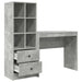 Birou cu sertar cu raft cu depozitare 2 pcs Gri din beton - WALTI WALTI